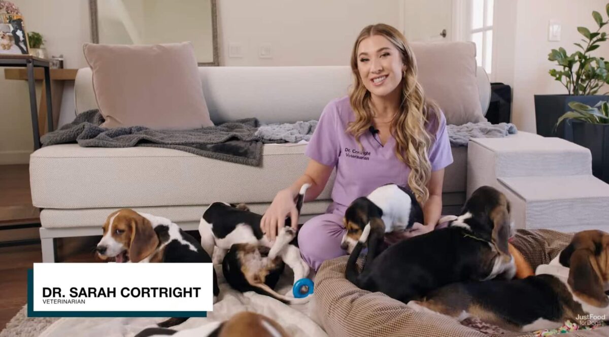 dr sarah cortwright, dvm